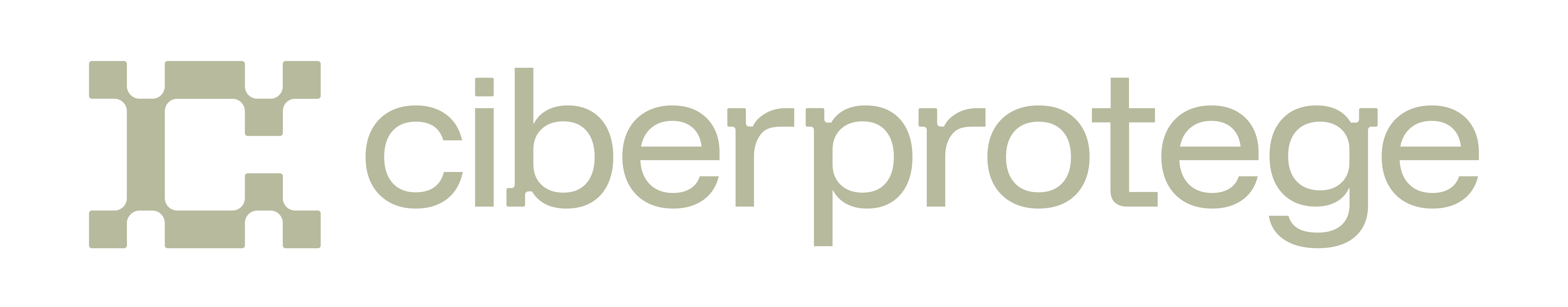 Ciberprotege